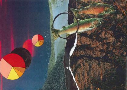 abstract collage: fish are Diving into the rocks from space.