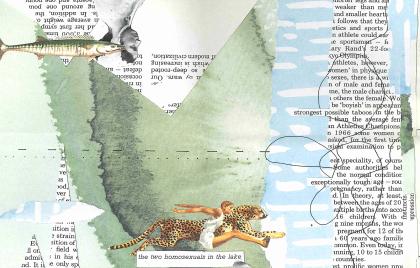 collage: a leopard and human are racing