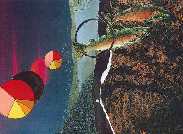 abstract collage: fish are Diving into the rocks from space. 
